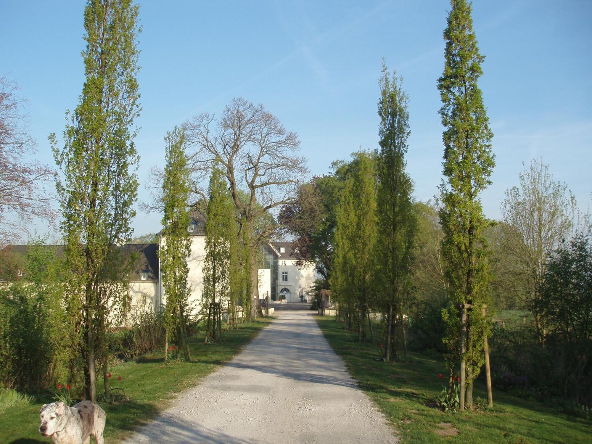 Burg Boetzelaer Hotel Kalkar Kültér fotó